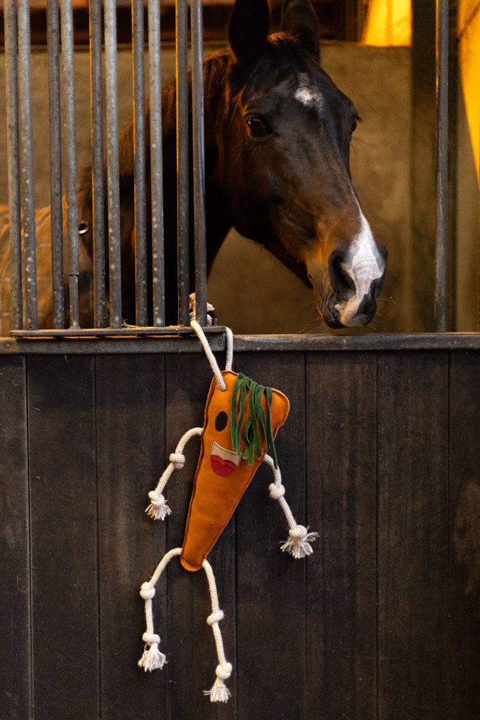 Excellent Horse Foodie Friends Stable Toys