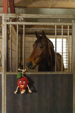 Load image into Gallery viewer, Excellent Horse Foodie Friends Stable Toys
