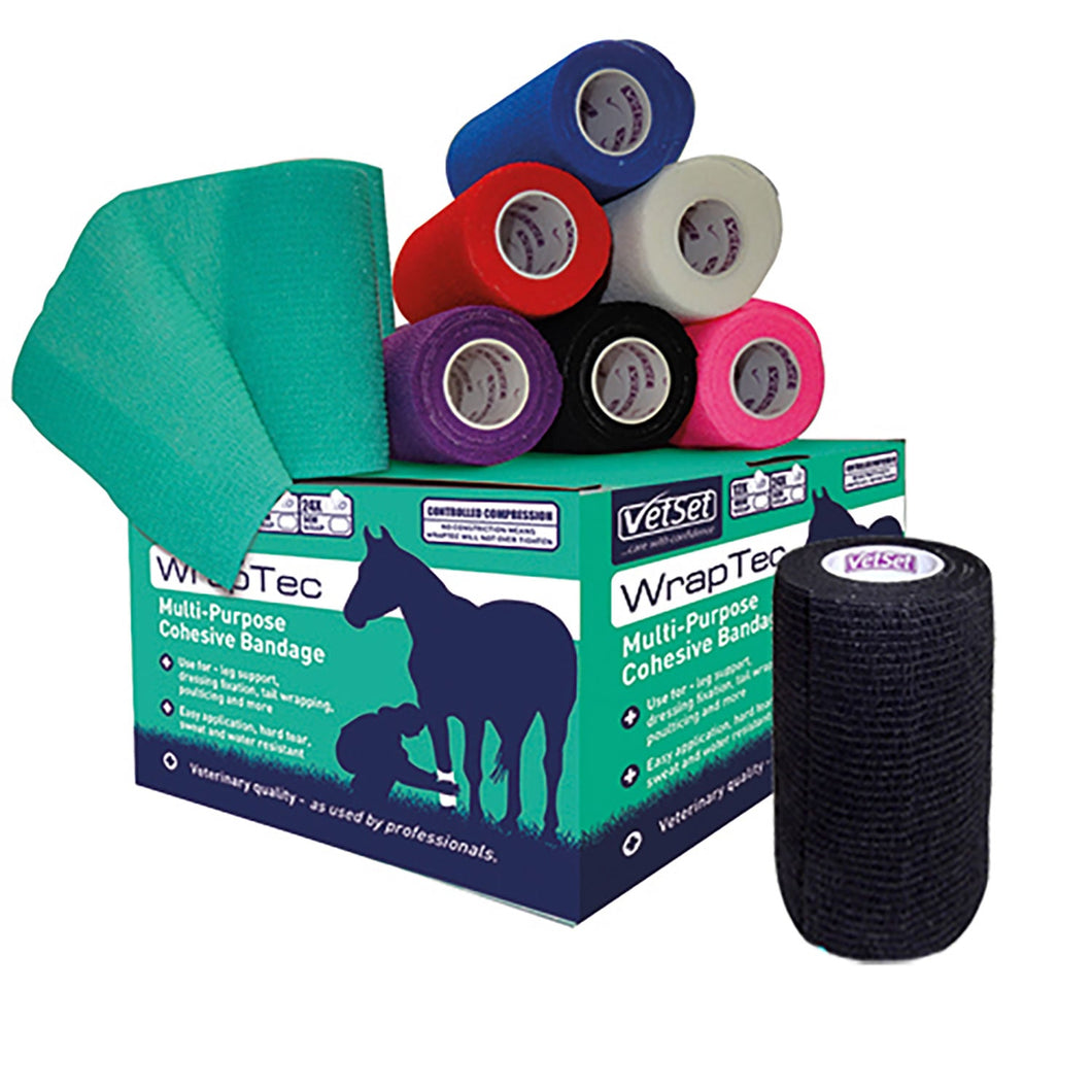 VETSET WRAPTEC COHESIVE BANDAGE BOX OF 12