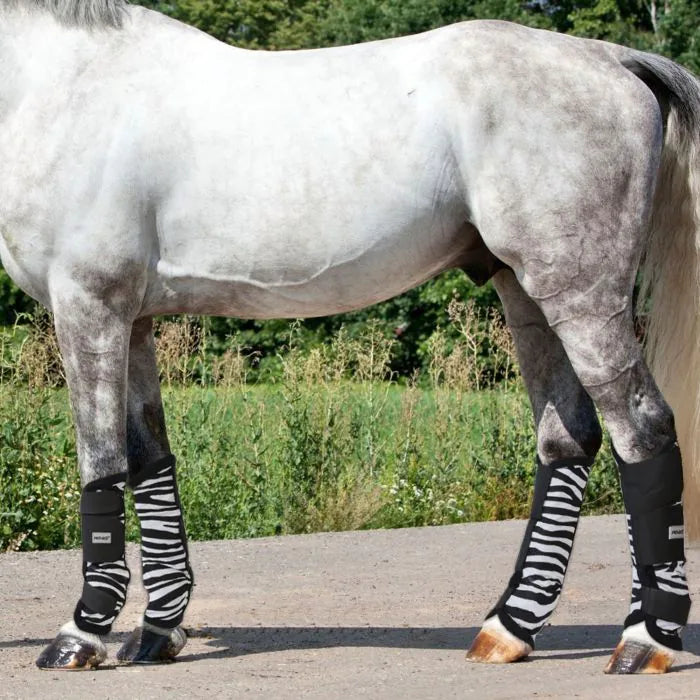 H ZEBRA FLY BOOTS SET OF 4