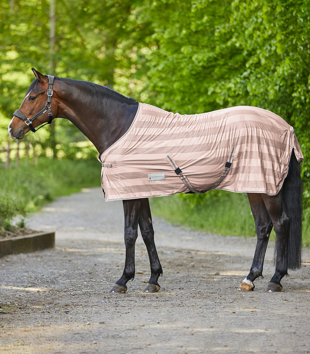 PALE PINK FLY SHEET