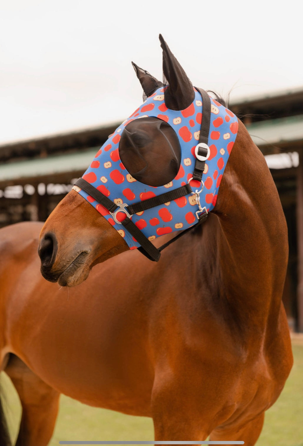 FUN ELASTIC STRETCH FLY MASK