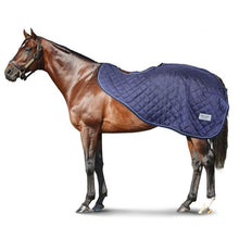 Load image into Gallery viewer, Q 160G EXERCISE RUG
