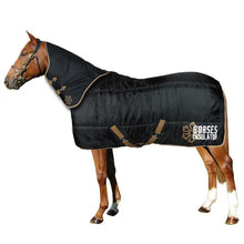 Load image into Gallery viewer, HORSE INSULATOR  STABLE RUG 550G
