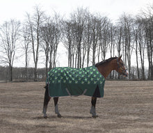 Load image into Gallery viewer, TuffRider 1200 D Ripstop 220G TURNOUT RUG UNICORN PRINT
