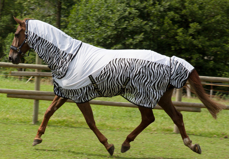 TALULAH fly sheet