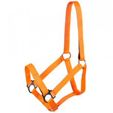 Load image into Gallery viewer, Jocose ultimate safety Turnout halter
