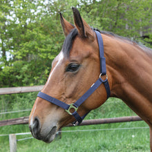 Load image into Gallery viewer, Jocose ultimate safety Turnout halter
