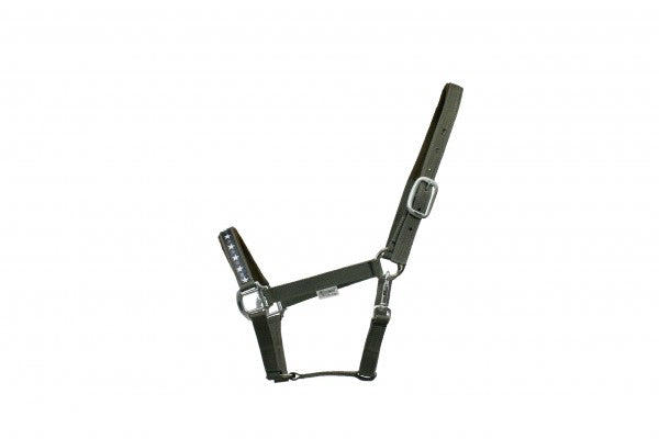EQ Style collection star head collar