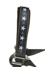 Load image into Gallery viewer, EQ Style collection star head collar
