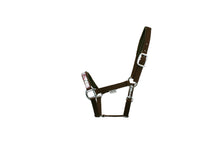 Load image into Gallery viewer, EQ Wild rose collection head collar
