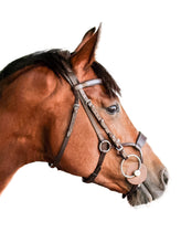 Load image into Gallery viewer, WAHLSTEN BRIDLE - X JUMP

