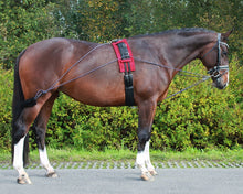 Load image into Gallery viewer, Lunging training system offer
