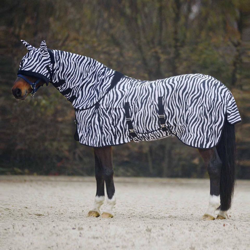 BARGAIN COMBO FLY RUG OFFER ZEBRA SET'S