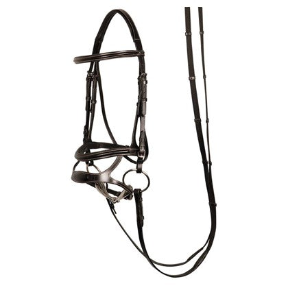 H&h double nose band bridle