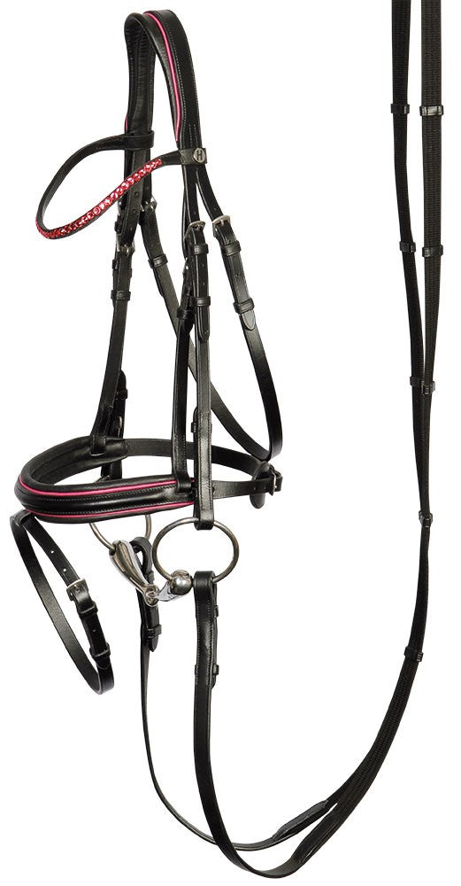 H&h Lollipop bridle