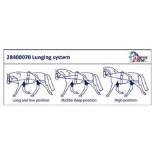 Load image into Gallery viewer, H&amp;h lunging system
