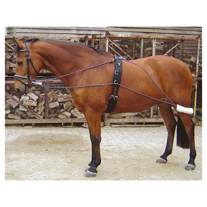 H&h lunging system