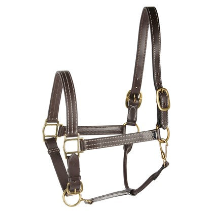 H&h luxury leather head collar