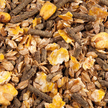 Load image into Gallery viewer, Eggersmann cool musli
