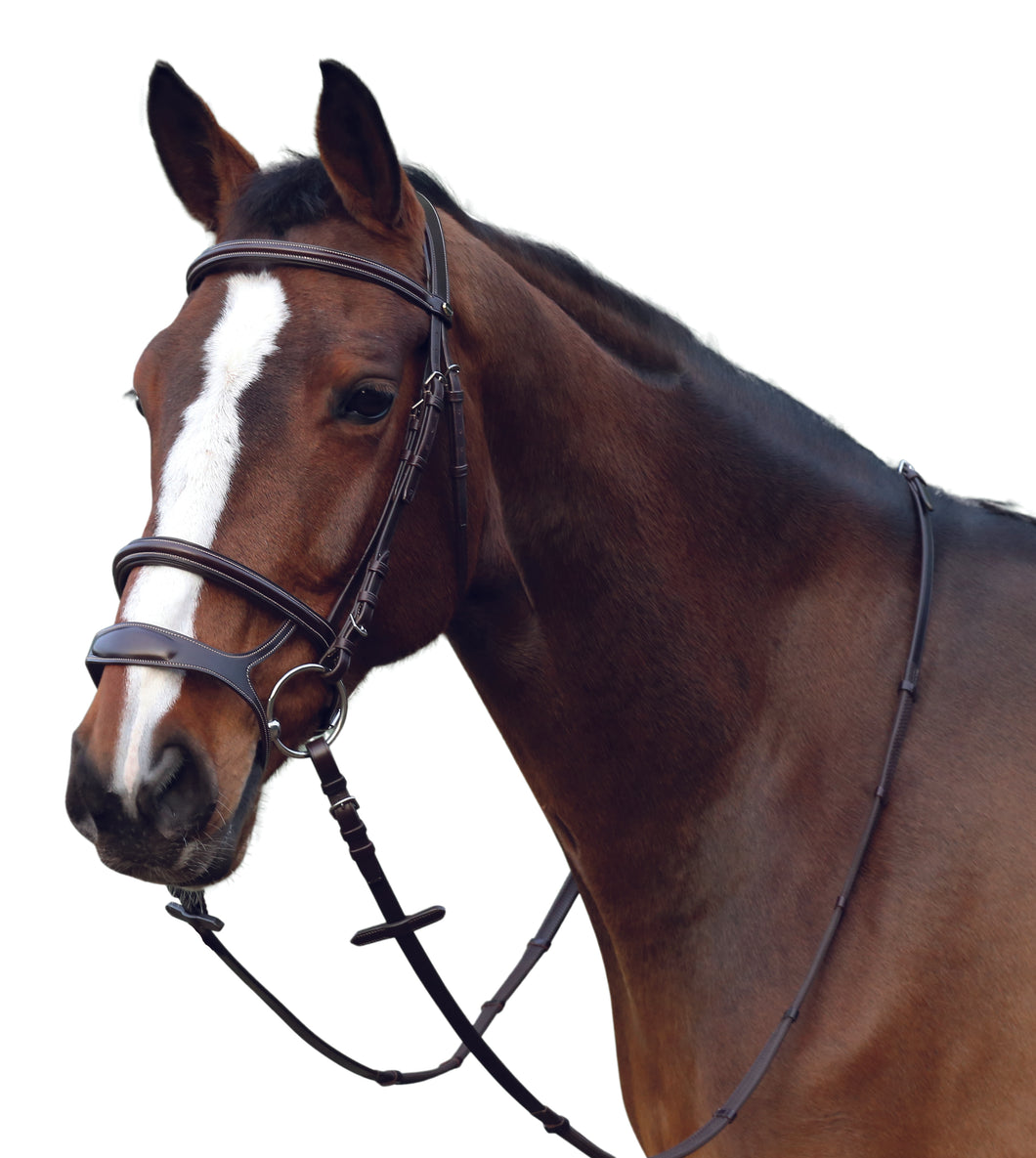 Ergo bridle 2