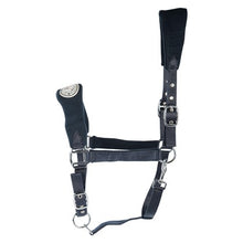 Load image into Gallery viewer, fleece rug and head collar offer
