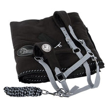 Load image into Gallery viewer, fleece rug and head collar offer
