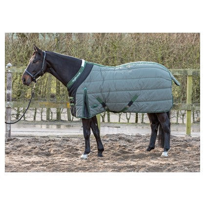 H-H Thyme 300g stable rug