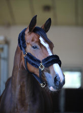 Load image into Gallery viewer, kentucky every day head collar
