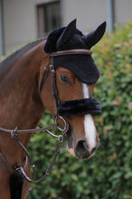 Load image into Gallery viewer, Kentucky NOSE BAND AND POLL SET
