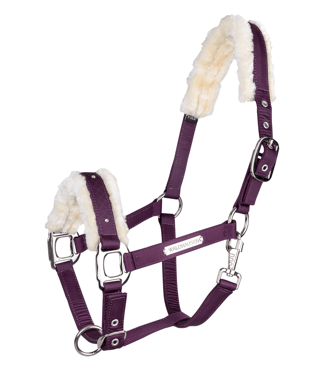 Barcelona Elder Head collar