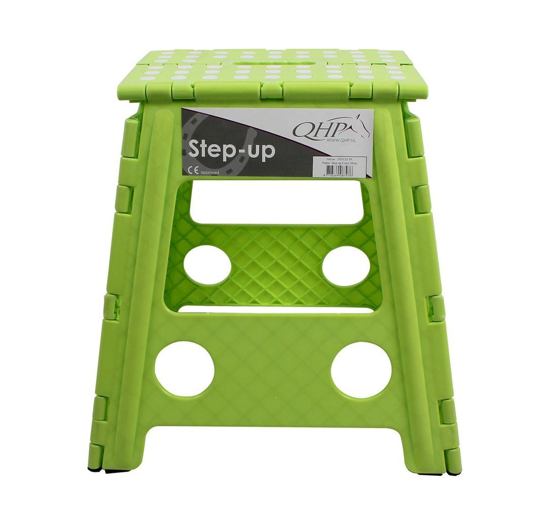 the step up stool