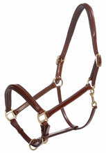 Load image into Gallery viewer, kavalkade charming head collar
