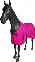 Load image into Gallery viewer, Eclat mesh fly  rug
