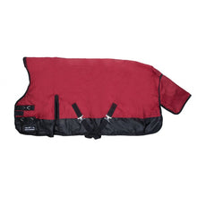 Load image into Gallery viewer, Turnout rug Highneck -Tampa- 1680D 300g filling
