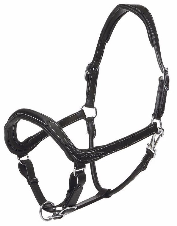 kavalkade ivy headcollar