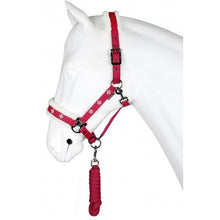Load image into Gallery viewer, HALTER SET NORDIC 2
