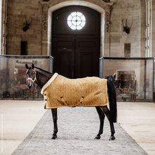 Load image into Gallery viewer, Kentucky Horsewear Velvet Show Rug

