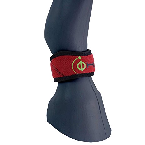 waldhausen balance band
