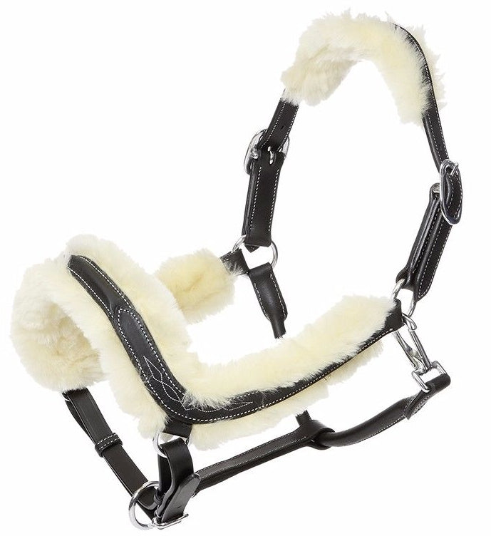 kavalkade ivy head collar with lamswool