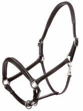 Load image into Gallery viewer, kavalkade charming head collar

