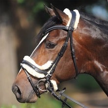 Load image into Gallery viewer, kavalkade ivy lambswool bridle
