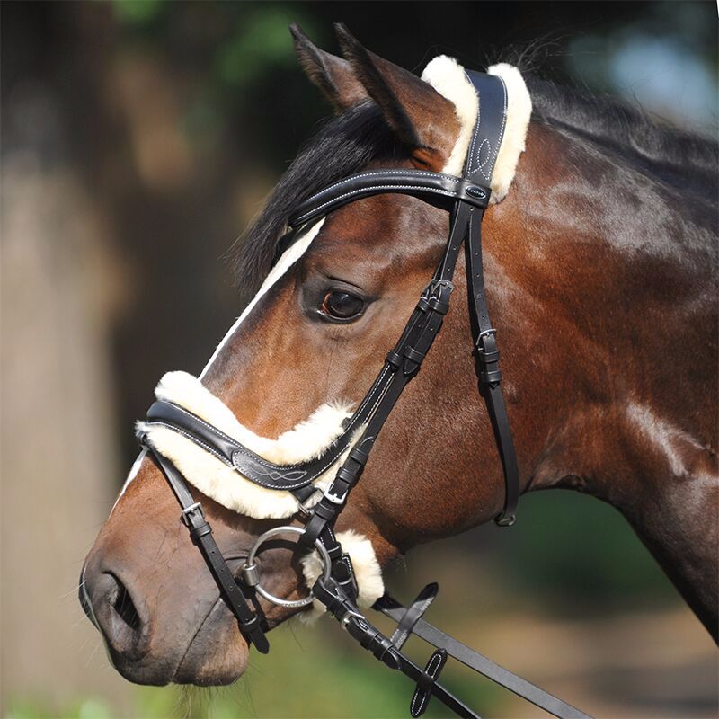 kavalkade ivy lambswool bridle