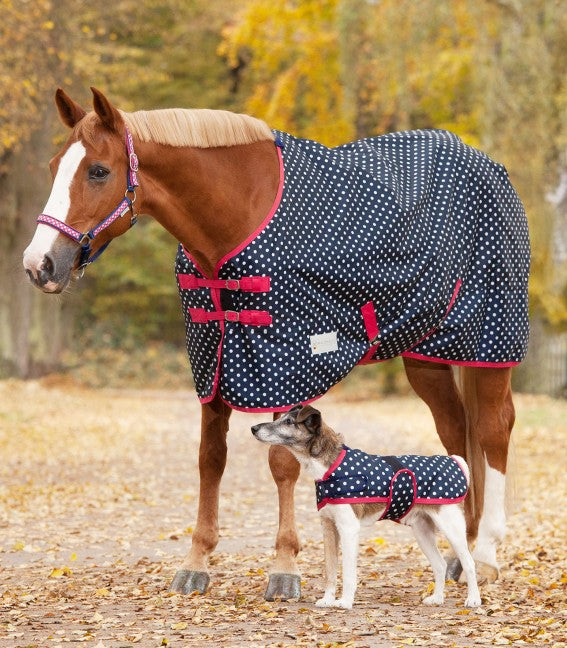 UNICORN SPOTTED TURNOUT RUG