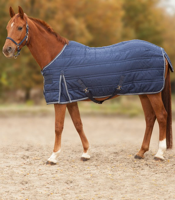 in-between seasons stable rug