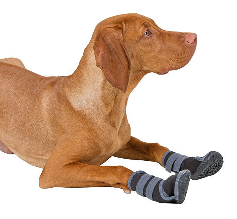 Paw Protection Active DOG BOOTS