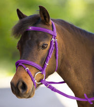 Load image into Gallery viewer, Waldhausen unicorn 2 bridle
