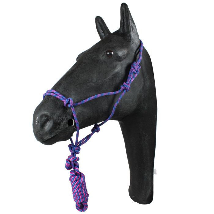 T halter and lead set