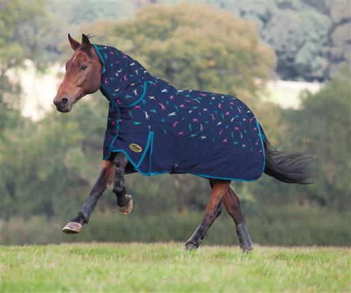 WAHLSTEN JOCKEY DESIGN OUTDOOR RUG