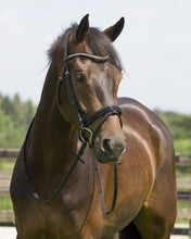 Load image into Gallery viewer, Amor Bridle (rose gold )
